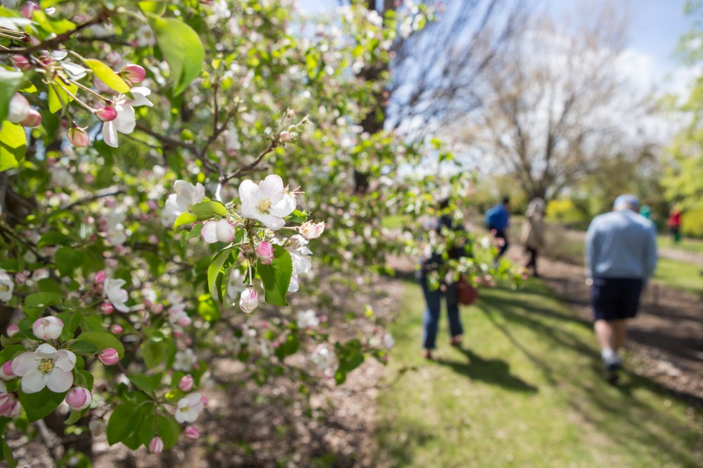 Current image: “Alumni Centennial” (CC BY-NC-SA 2.0) by University of Saskatchewan